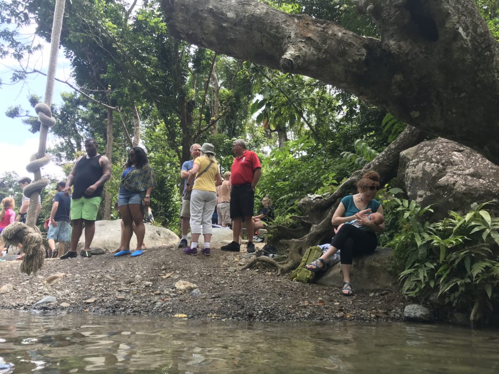 Sarah didn't even realize that a tour group was posted up just behind her as she nursed. 